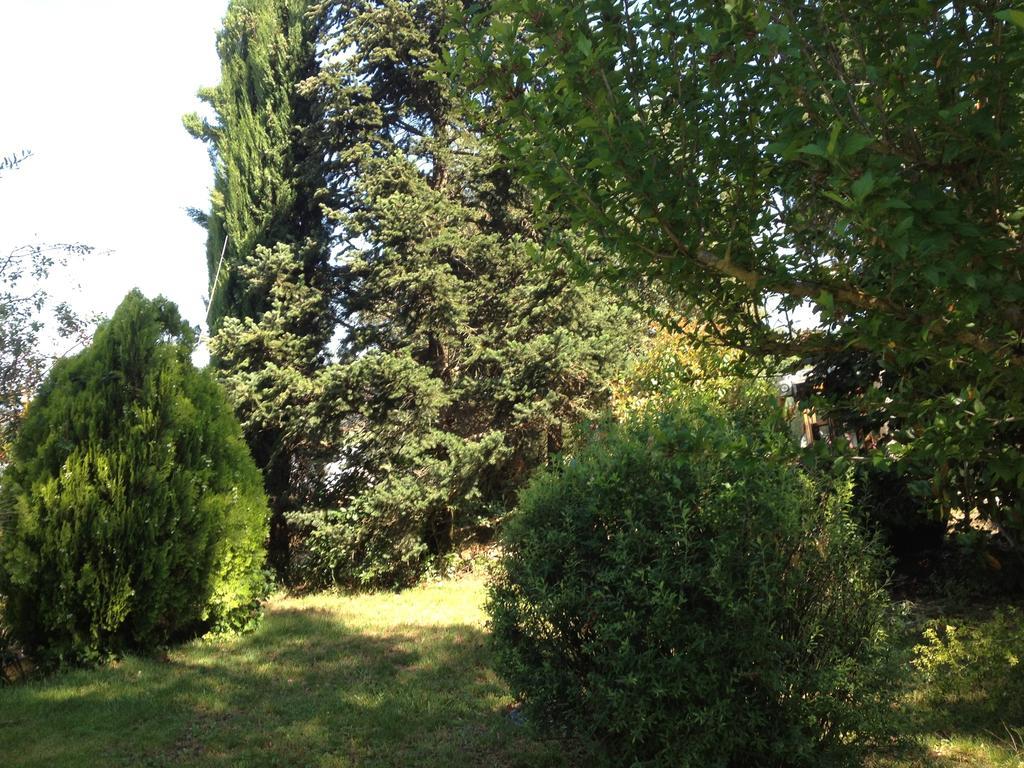 Il Belvedere Di Roccavo Villa Castiglion Fiorentino Luaran gambar
